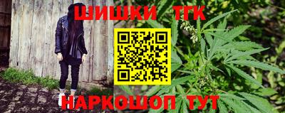винт Новозыбков