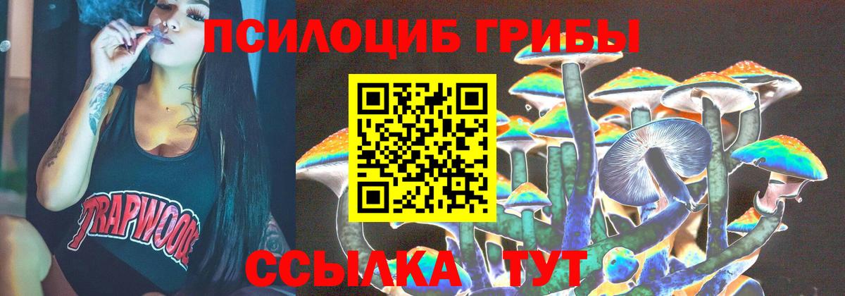Галлюциногенные грибы мицелий  Вход с VPN  купить закладку  Сердобск 